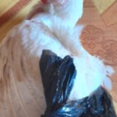 Profile picture of Believe