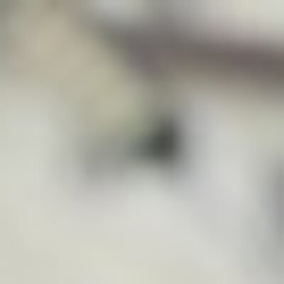 Profile picture of Wealth