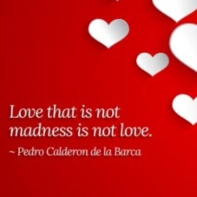 Profile picture of Joe