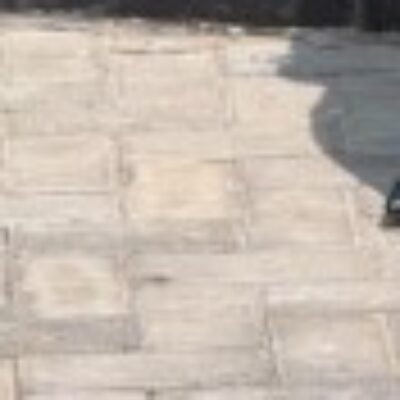 Profile picture of Success olori