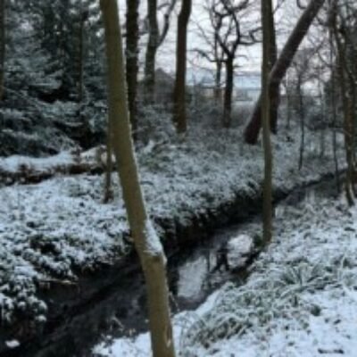 Profile picture of Ernesto