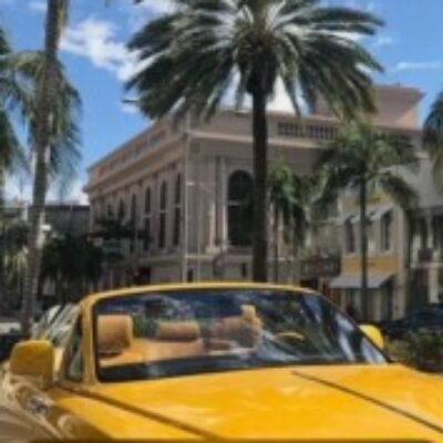 Profile picture of Mary