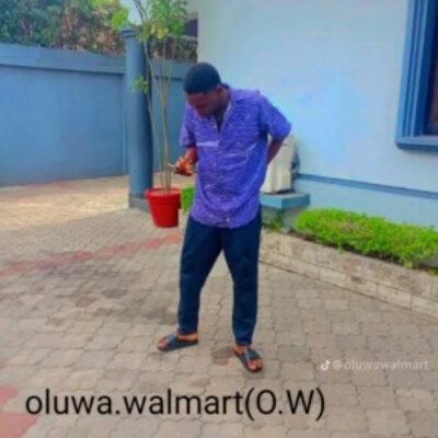 Profile picture of Oluwawalmart
