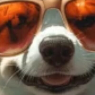 Profile picture of Merry larry