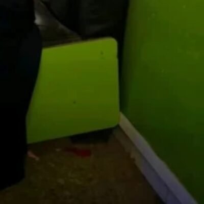 Profile picture of Zinky