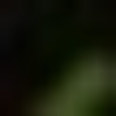 Profile picture of DEE CUTE LIZA 😍