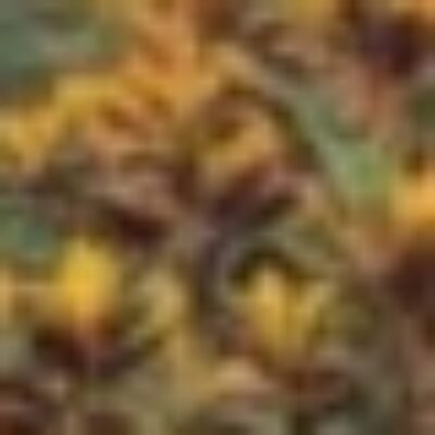 Profile picture of Favour