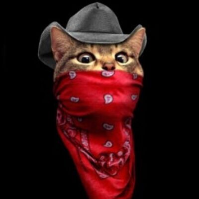 Profile picture of Kevo0 nation