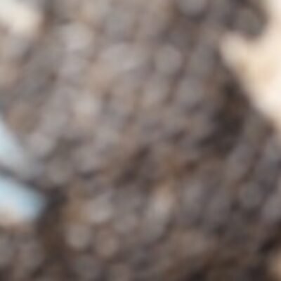 Profile picture of mmm