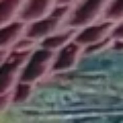 Profile picture of felista