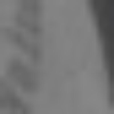 Profile picture of x