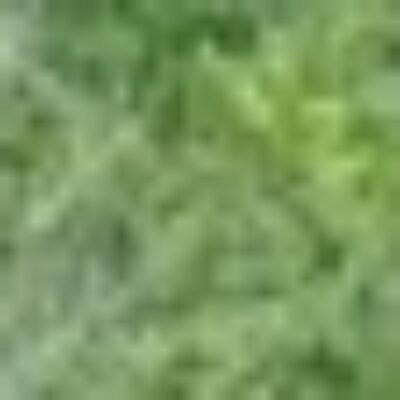 Profile picture of Waldonia