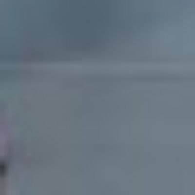 Profile picture of Rank