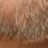 Profile picture of Maidison